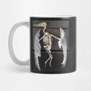 Found bird Skeleton - Photography  by Avril Thomas - Adelaide / South Australia Artist Mug